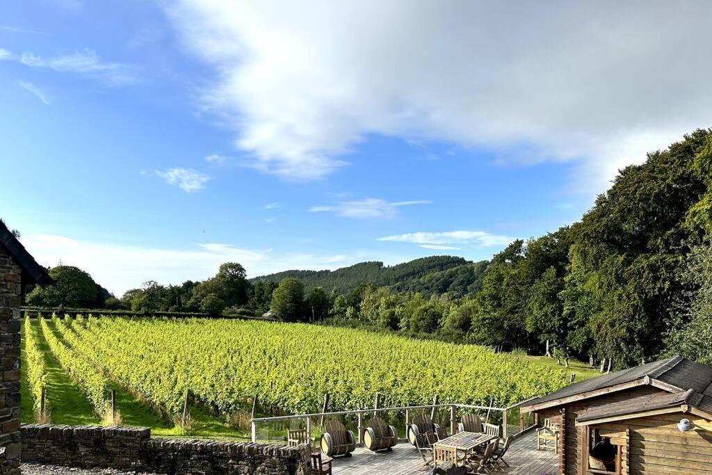 Llanerch-Aeron Vineyard Country Cottage מראה חיצוני תמונה
