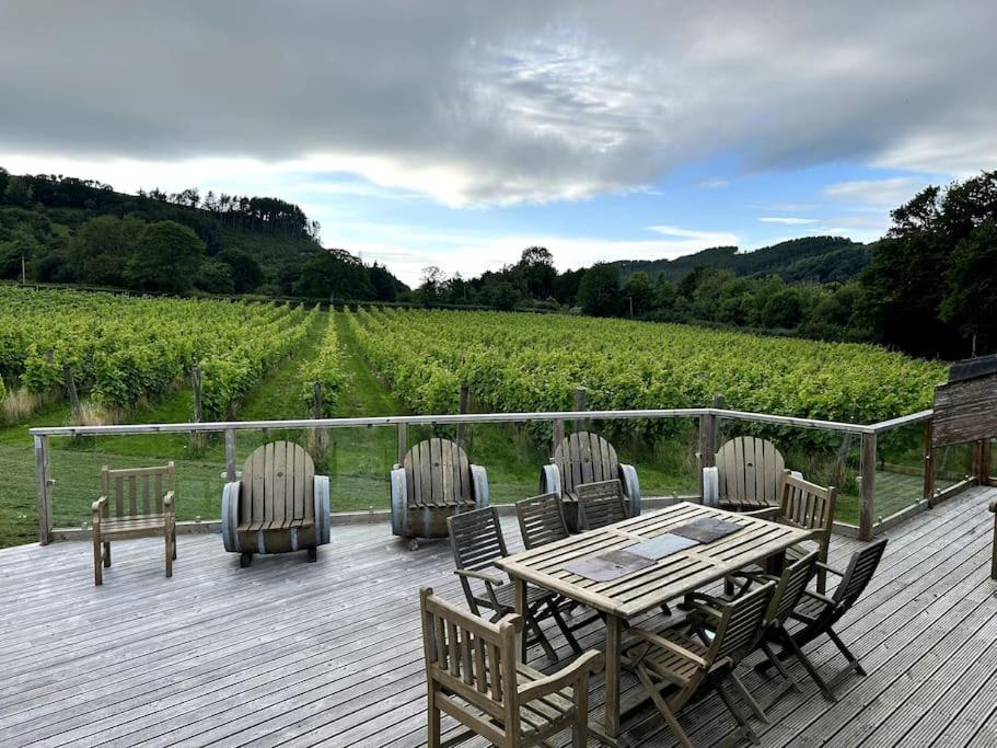 Llanerch-Aeron Vineyard Country Cottage מראה חיצוני תמונה